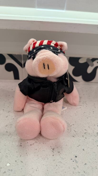 Plushland Other - VTG 2003 Plushland Hogworth Pig ADA Diabetes Patriotic Biker Plush With Tag